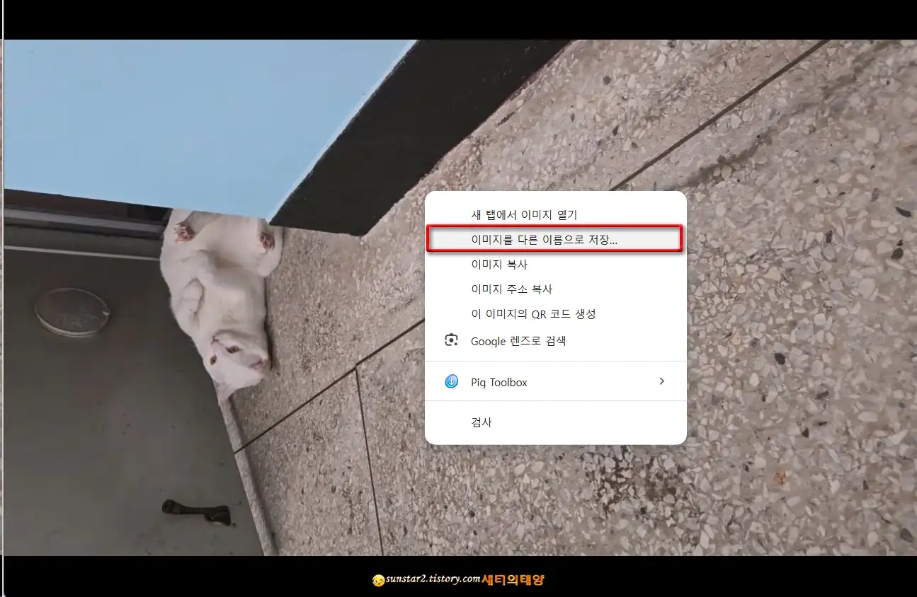 윈도우11_사진및동영상_회전하기_11