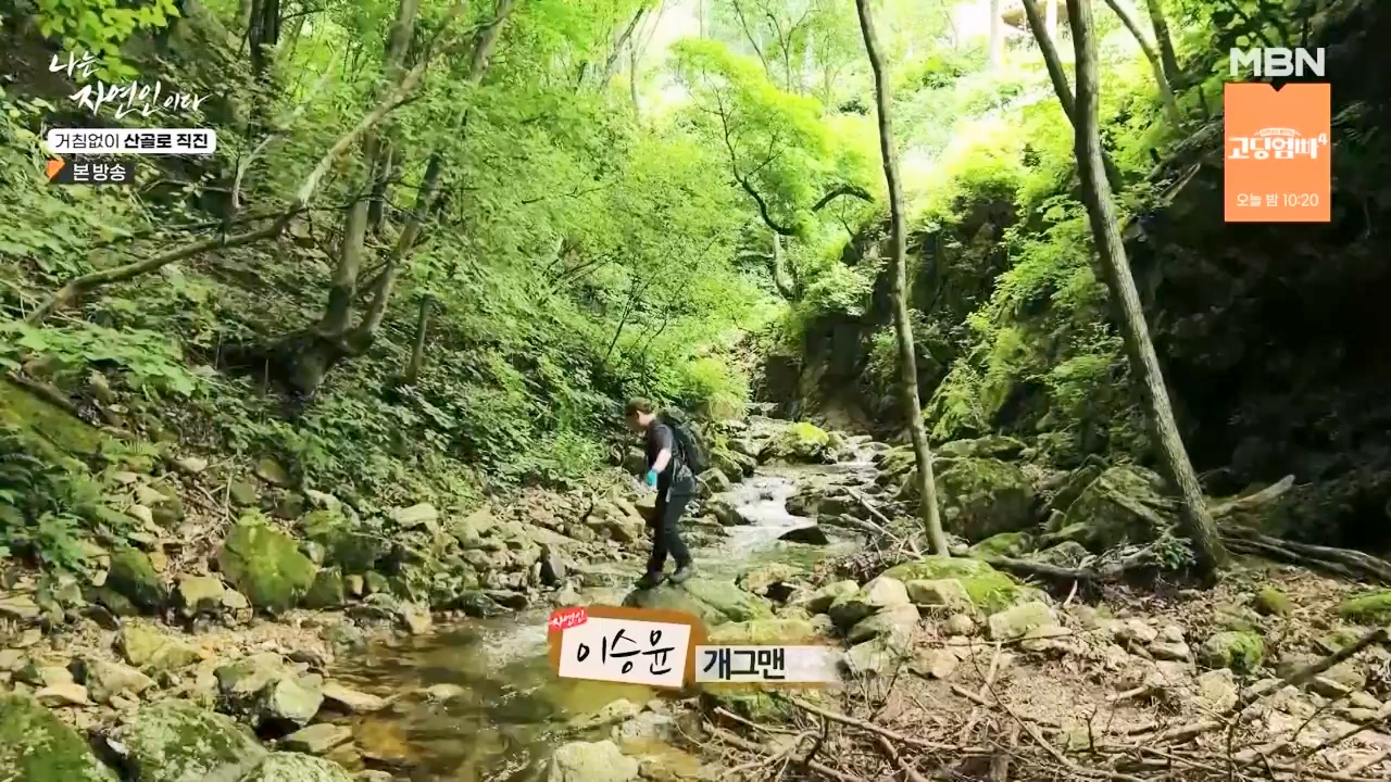 나는 자연인이다.E564.230727p-NEXT.mp4_20230727_211921.097.jpg