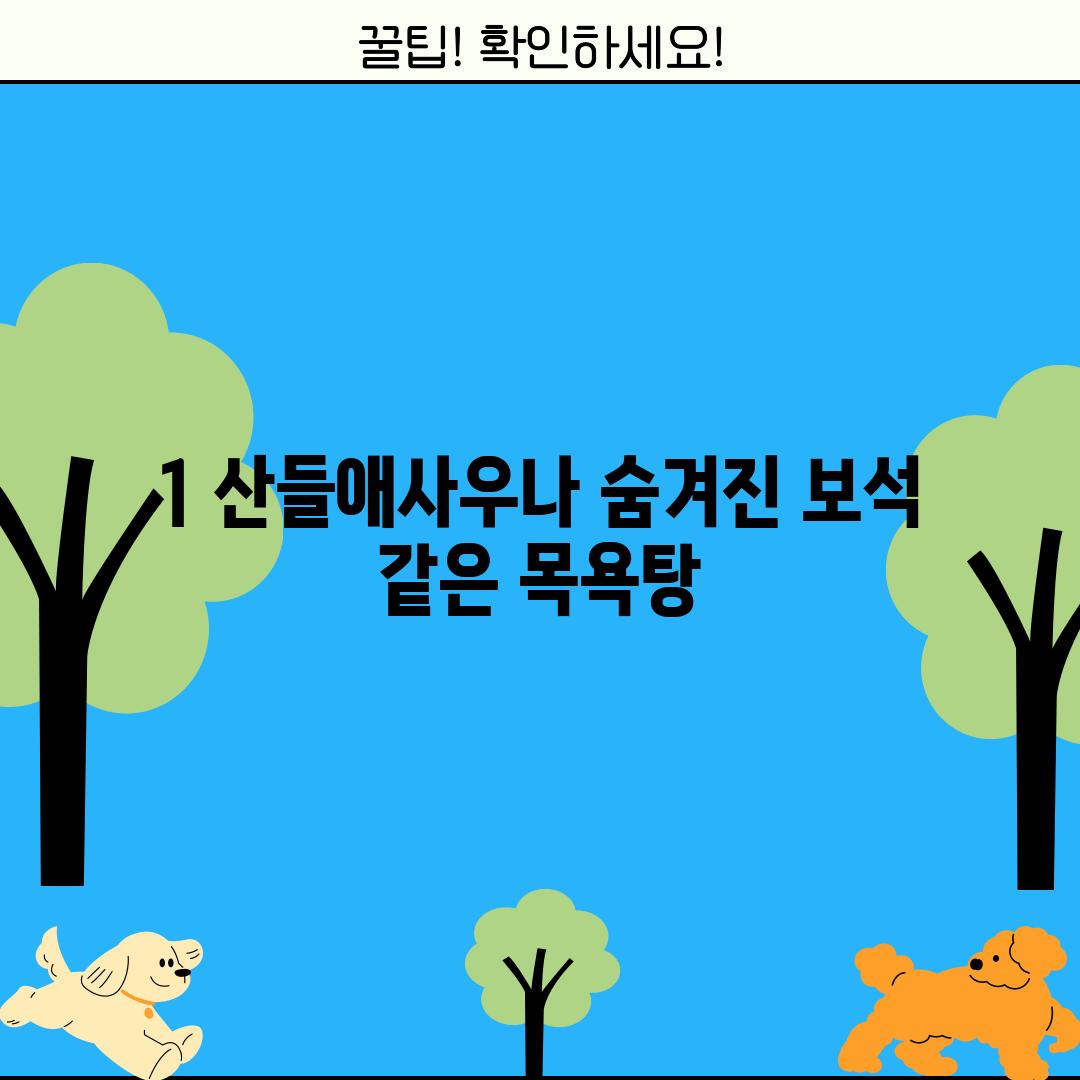 1. 산들애사우나: 숨겨진 보석 같은 목욕탕