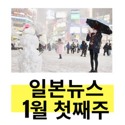  2022년1월 도쿄폭설, 코로나 확진자수, 일본 입국 종합뉴스