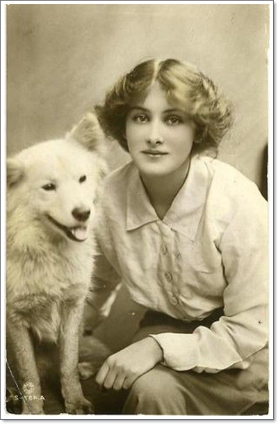  아메리칸 에스키모도그 분양가격과 성격, 역사 및 특징에 대해(American Eskimo Dog)
