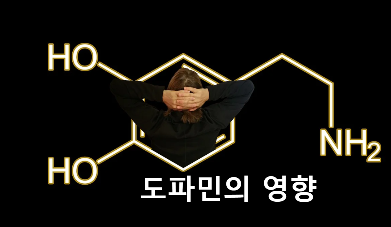  도파민이 우리 몸에 미치는 영향