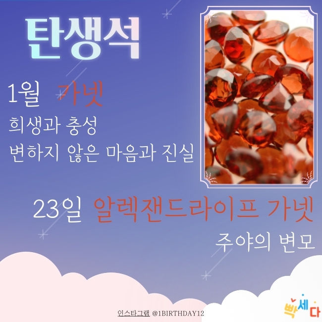 1월 23일은 무슨 날? 탄생화 탄생석 탄생목 1월 23일 탄생화는 부들 꽃점과 꽃말로 하루를 행복하게