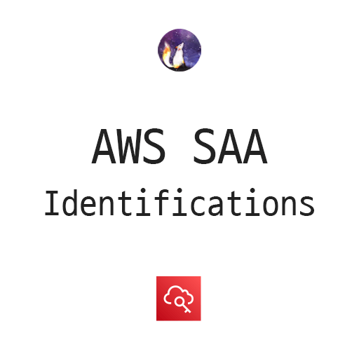  AWS SAA - Identifications