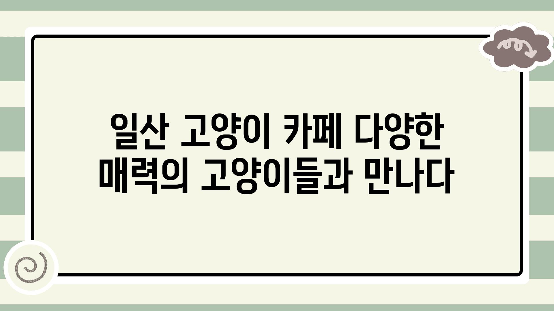 일산 고양이 카페 다양한 매력의 고양이들과 만나다