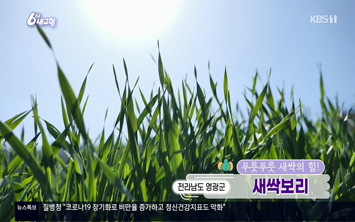 6시 내고향.E7510.220414p.H264-F1RST.mp4_20220419_182441.102.jpg