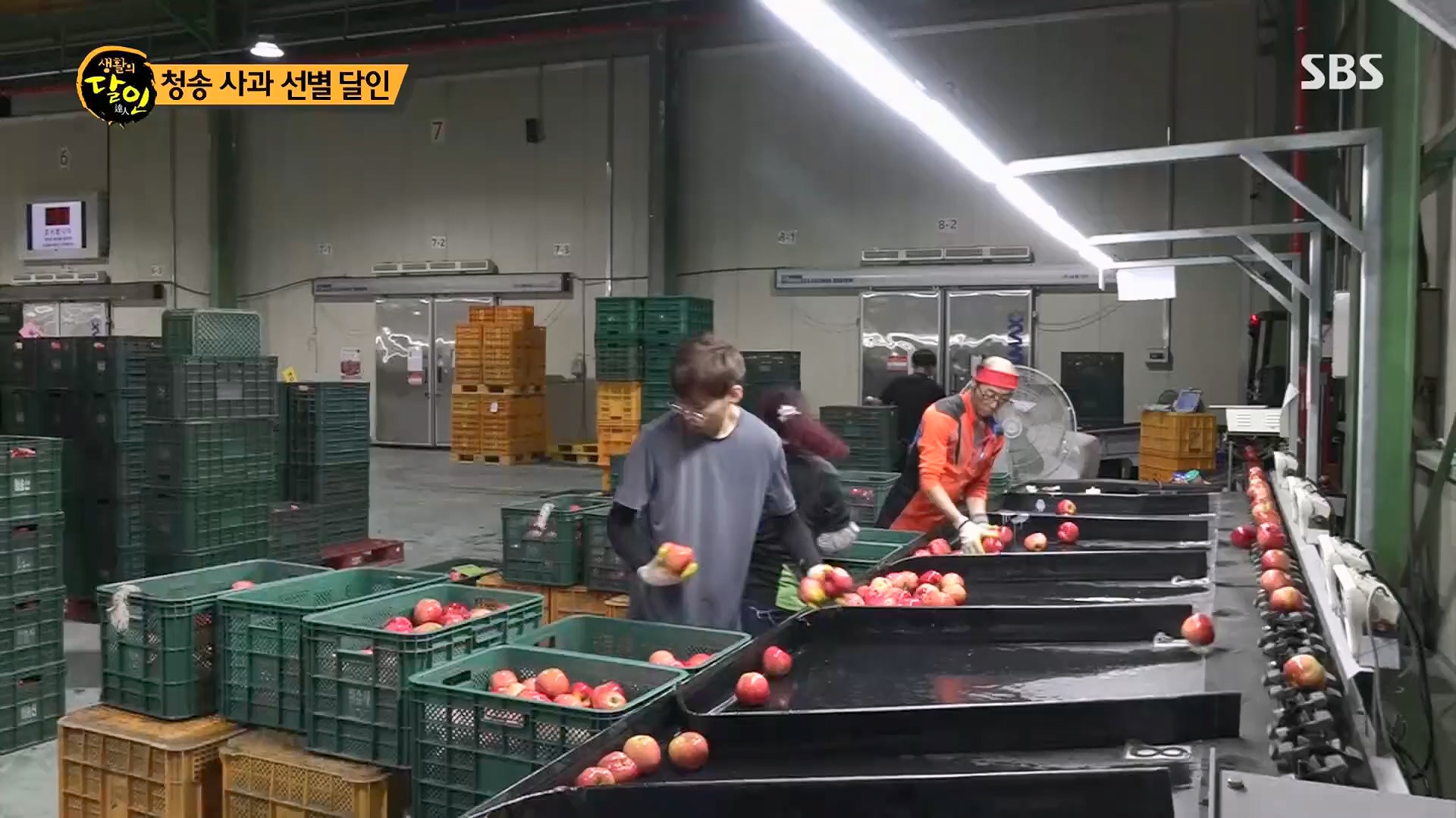 생활의 달인.E906.230918p.H264-F1RST.mp4_20230919_212322.398.jpg