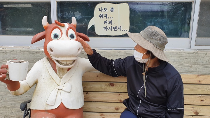 안반데기 소 형상 이미지