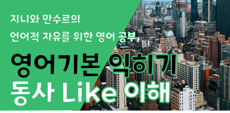  [영어 기본기] Like 의미 제대로 알기.  someone like you 뜻