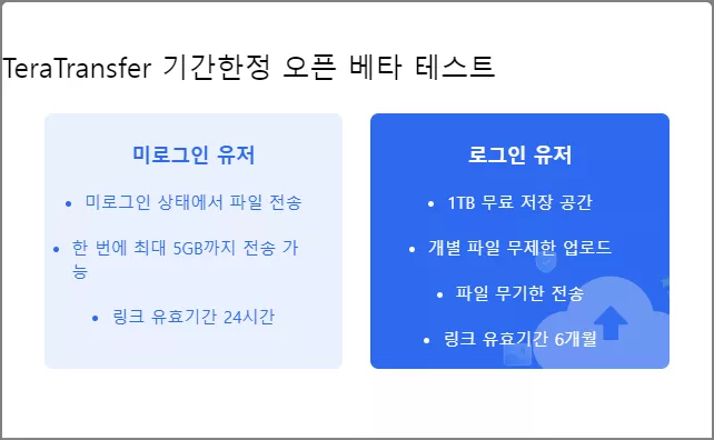 TeraTransfer 기능 설명