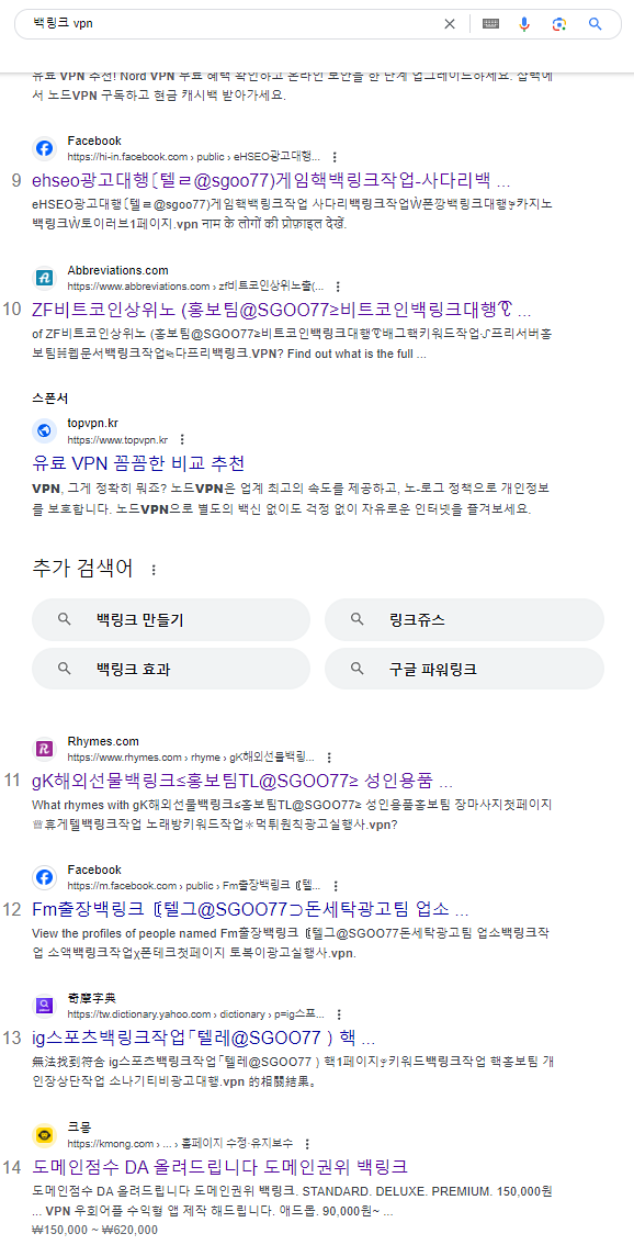 백링크 VPN