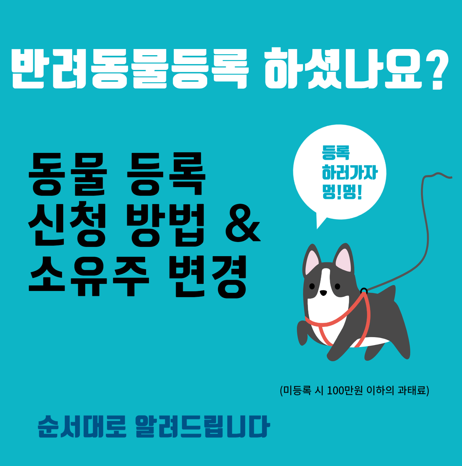 강아지 등록