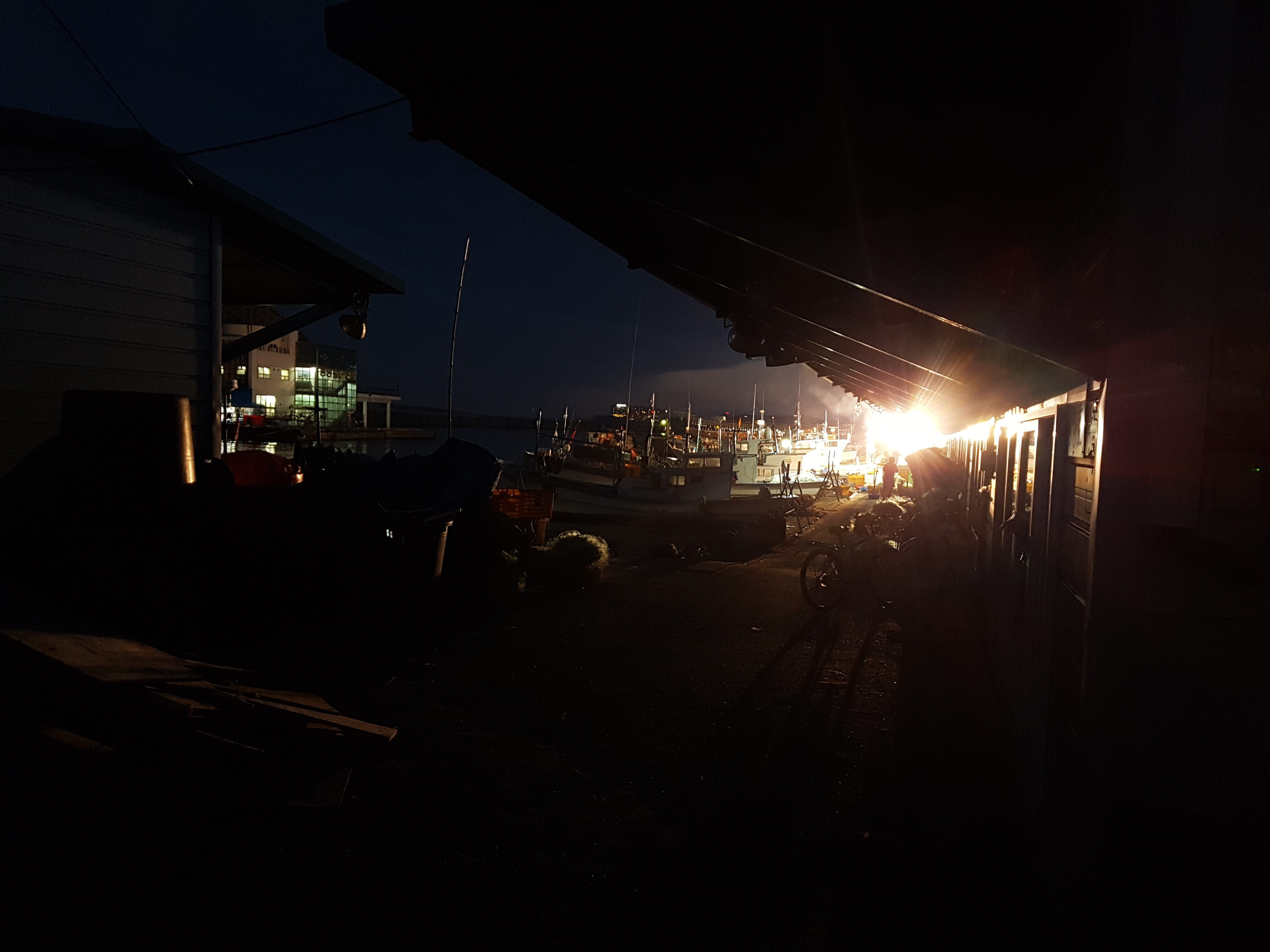 어둑한 새벽 항구 사진