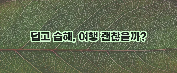 7월 다낭 날씨, 정말 궁금하시죠!