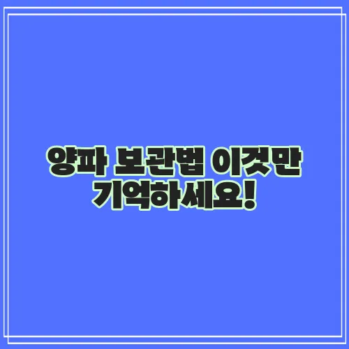 양파 보관법 이것만 기억하세요!