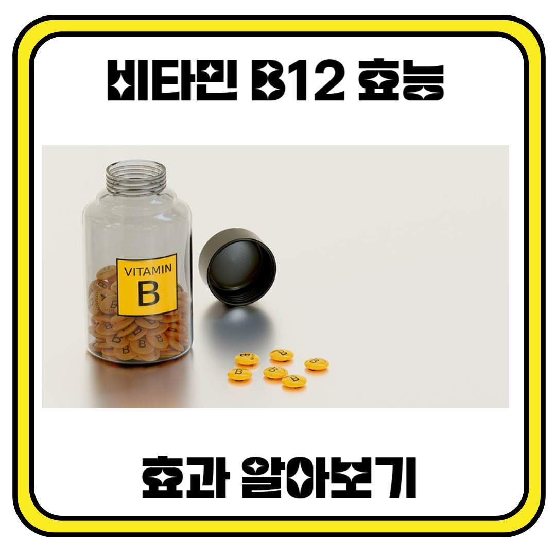 비타민 B12 효능 및 효과에 대해 알아보자