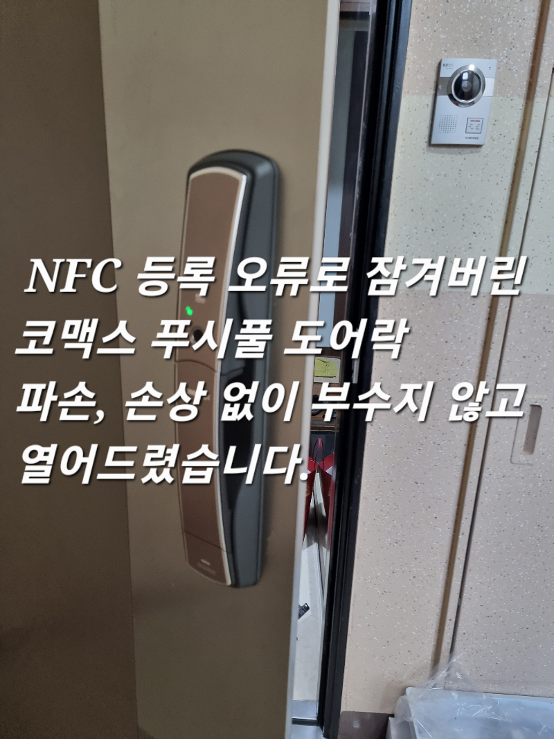 부산 강서구 명지동 비밀번호 분실로 잠겨버린 현관문 코맥스 푸시풀 도어락 전자 번호키 부수지 않고 열기