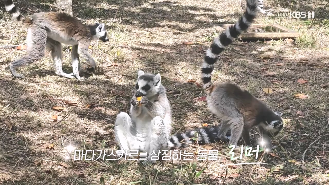 걸어서 세계속으로.E814.231022p-NEXT.mp4_20231022_164337.449.jpg