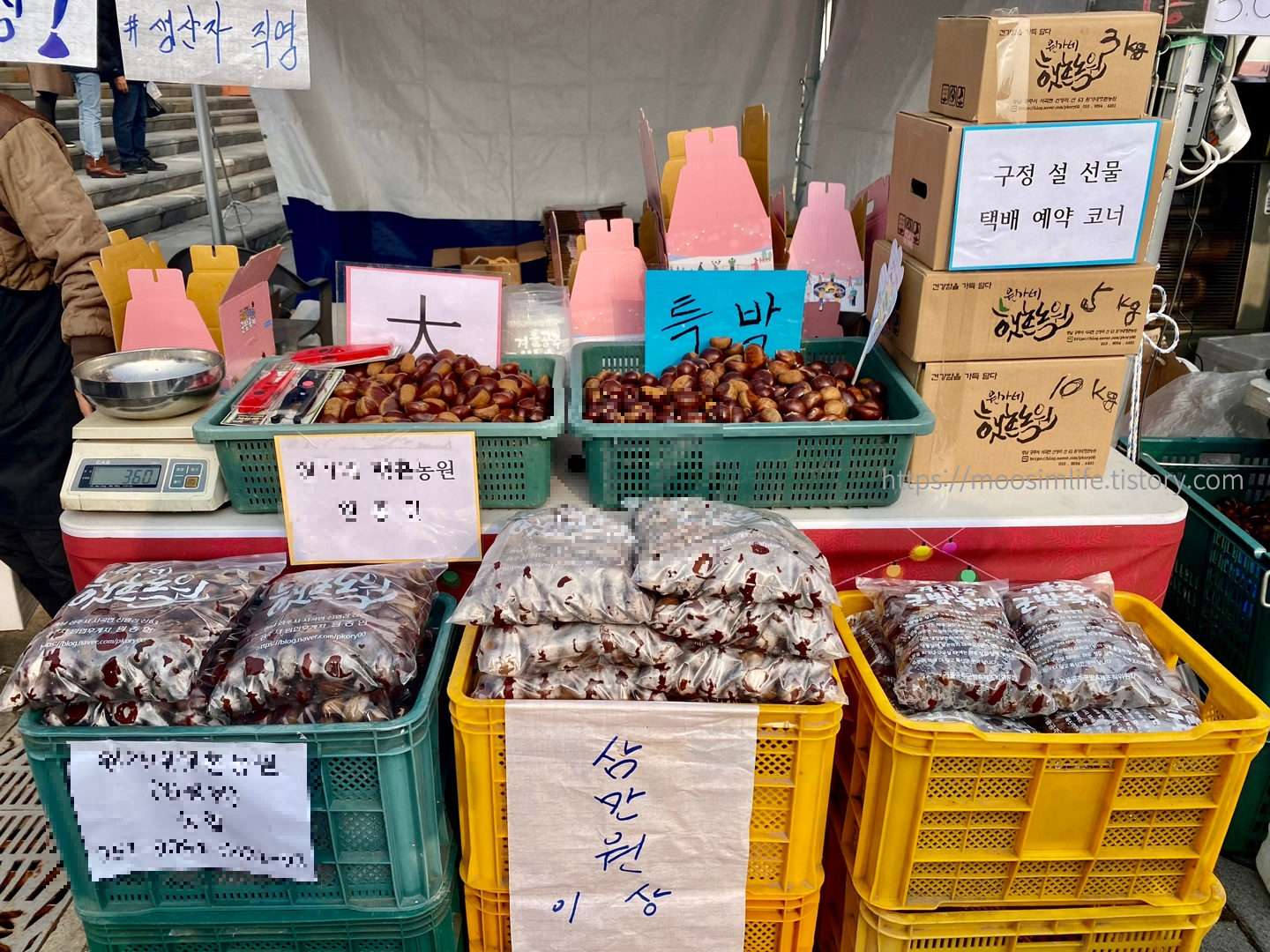 공주-아트센터-밤축제