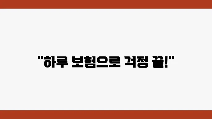 자동차 1일보험, 가입 절차를 밝히다