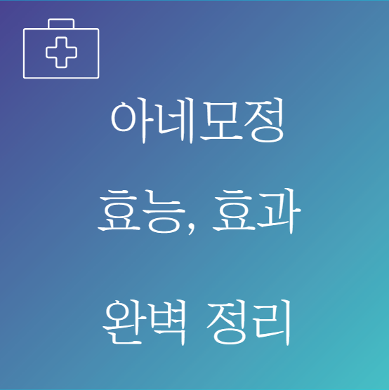 아네모정