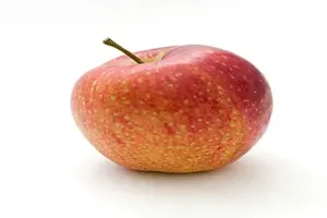 사과