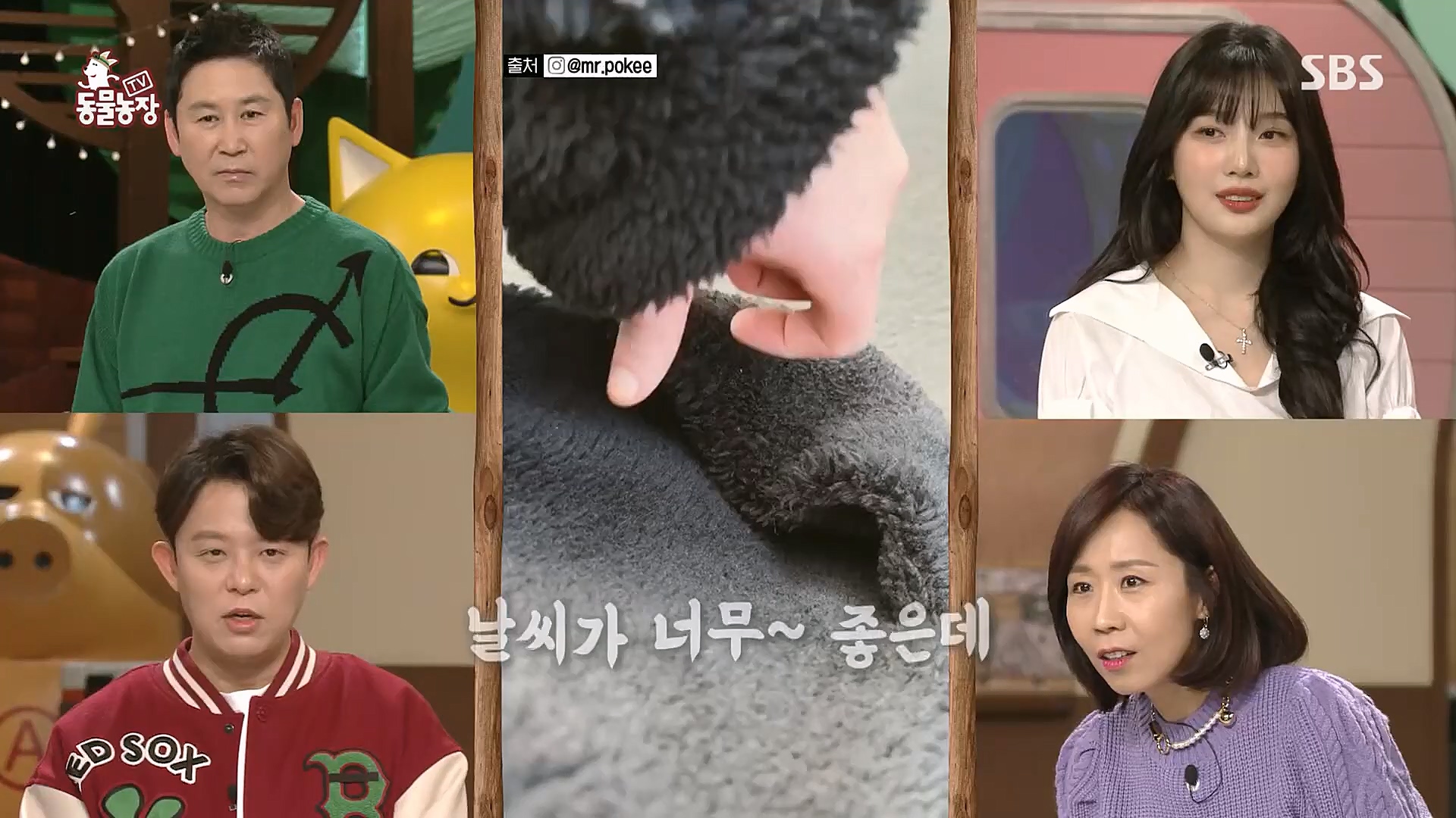 TV 동물농장.E1106.230129p.H264-F1RST.mp4_20230130_192722.946.jpg