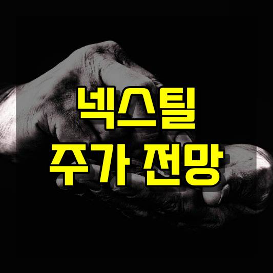 넥스틸 주가 전망