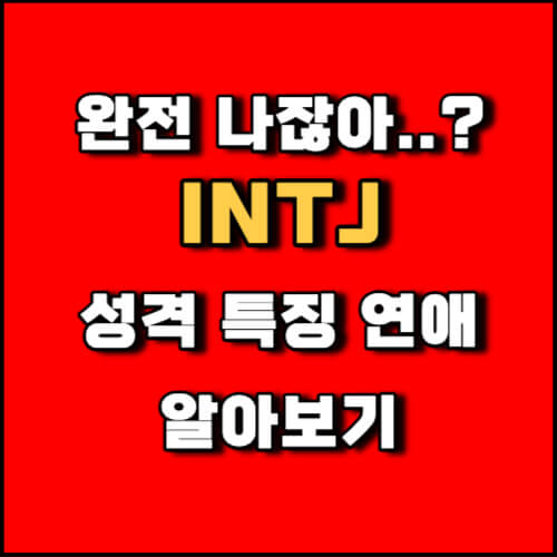 MBTI INTJ 유형 성격 연애 특징의 모든것