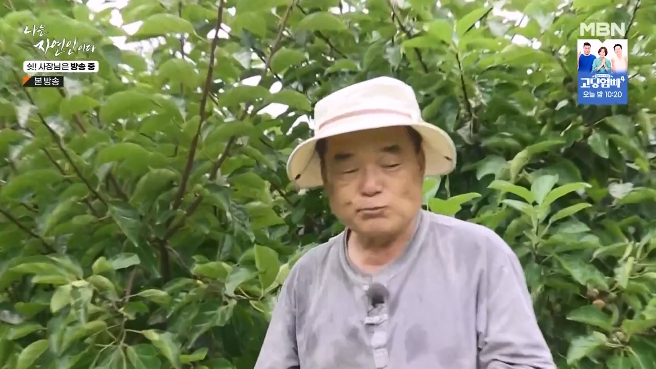 나는 자연인이다.E573.230928p-NEXT.mp4_20230929_174821.682.jpg