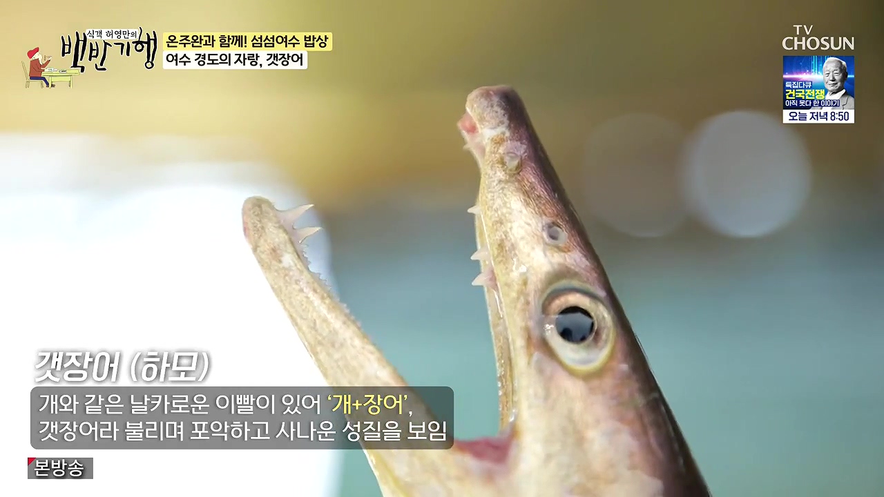 식객 허영만의 백반기행.E253.240624p-NEXT.mp4_20240624_194900.108.jpg