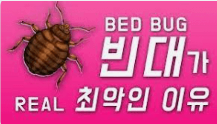빈대 퇴치법