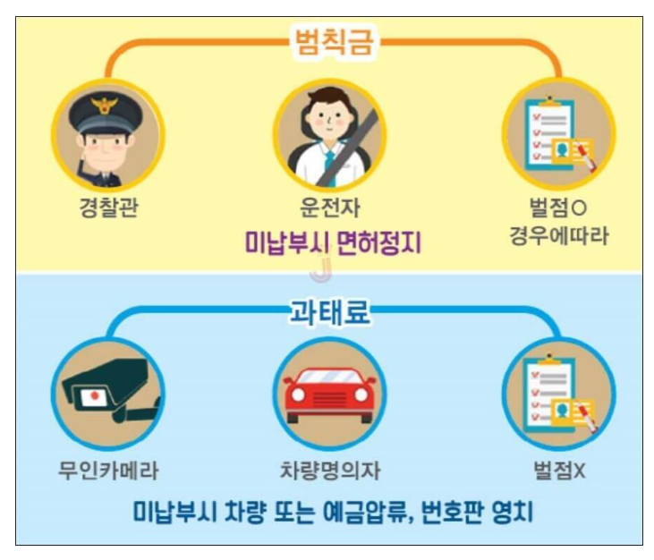  자동차 과태료 및 범칙금 금액, 조회 방법 총정리