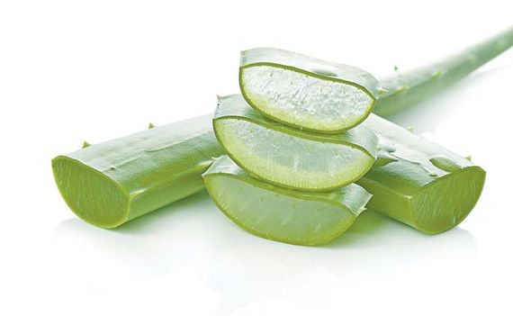  알로에 효능, 부작용 알아보기