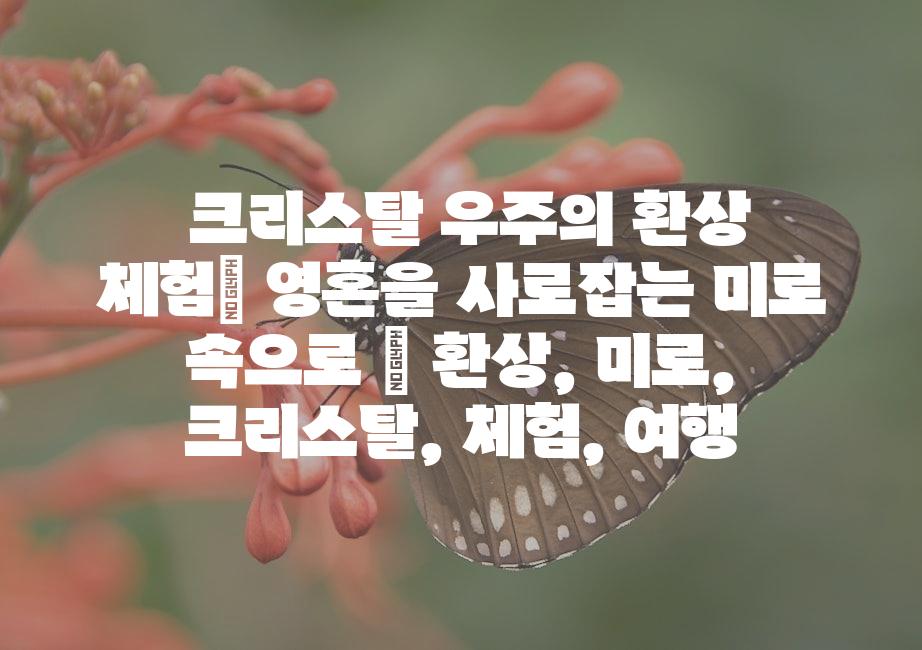 샘플 (51)