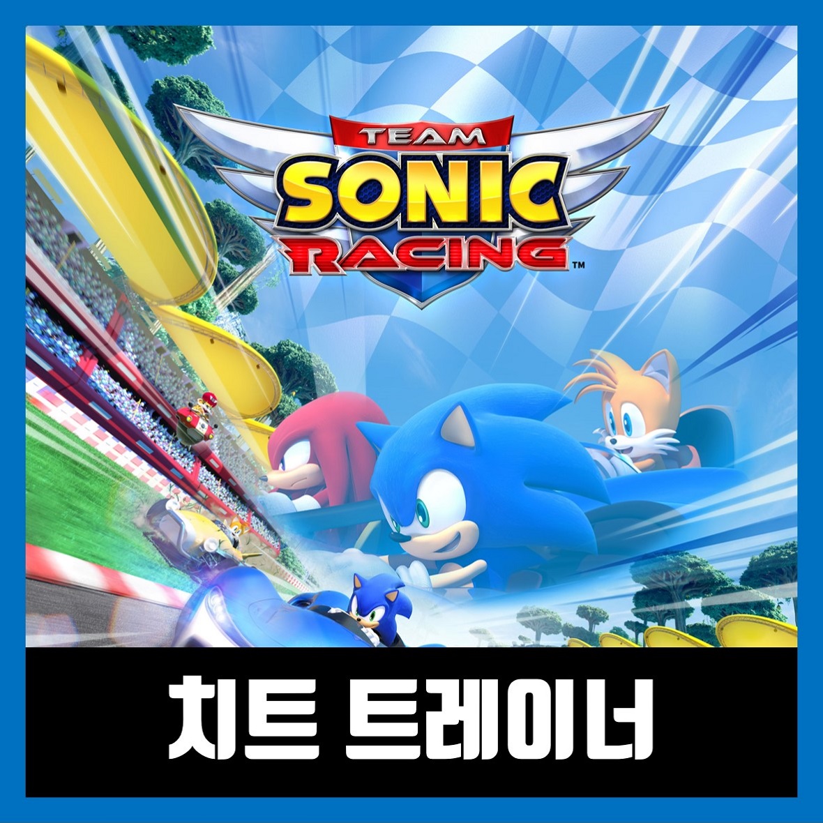  팀 소닉 레이싱 트레이너 Team Sonic Racing