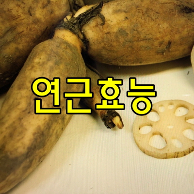  연근 효능과 부작용, 연근 고르는법과 보관법등