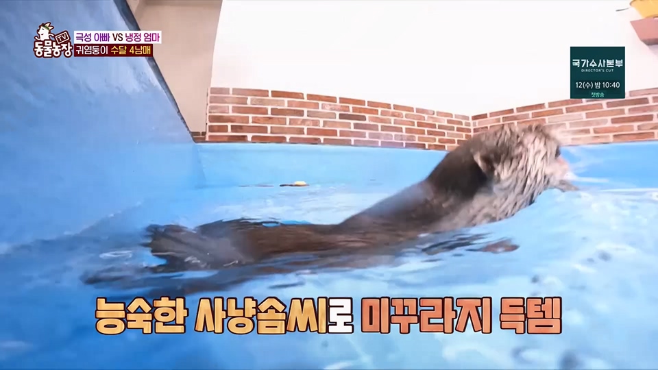 TV 동물농장.E1128.230709p.H264-F1RST.mp4_20230709_183615.053.jpg