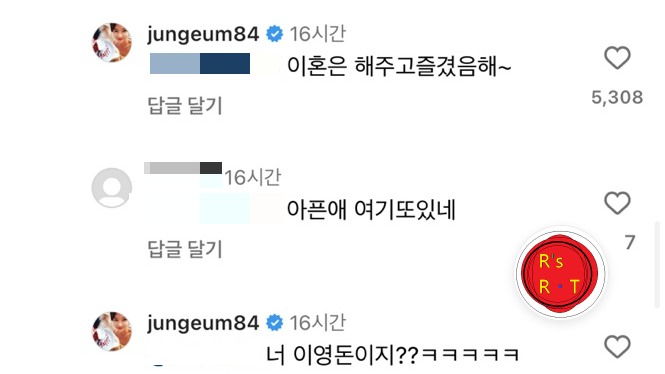 황정음_인스타_댓글_사진출처_황정음_인스타그램_캡쳐