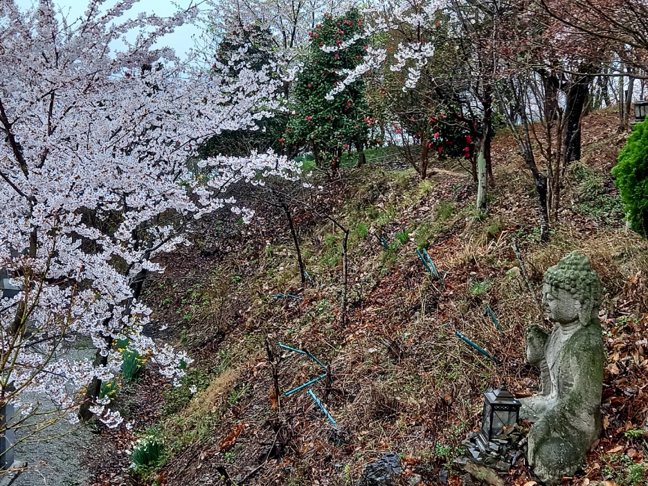 img.jpg
