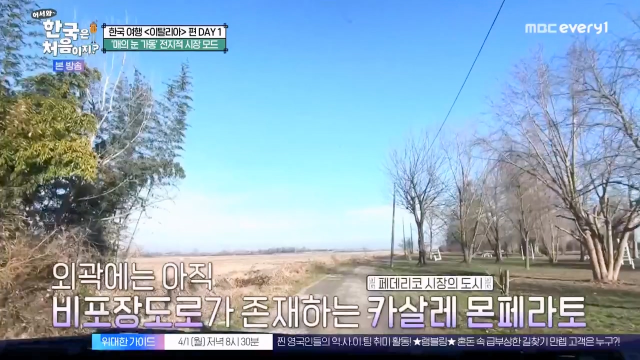 어서와 한국은 처음이지 시즌2.E307.240329p-NEXT.mp4_20240329_202618.075.jpg