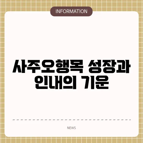 사주오행목 성장과 인내의 기운