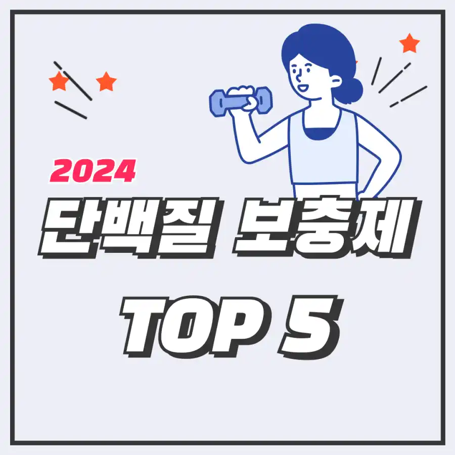 2024단백직보충제추천