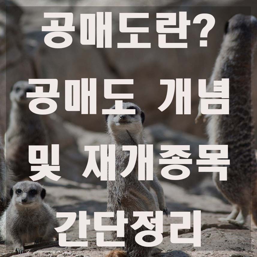  공매도 재개종목 총정리