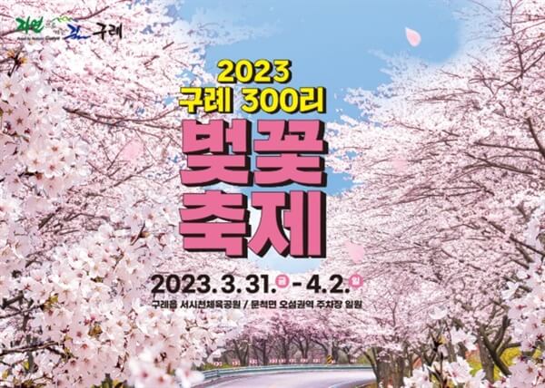 구례 300리 벚꽃 축제