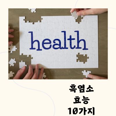 흑염소 효능