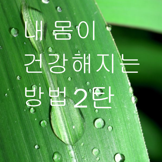 내몸건강해지는방법-건강한몸-코로나시국-설명