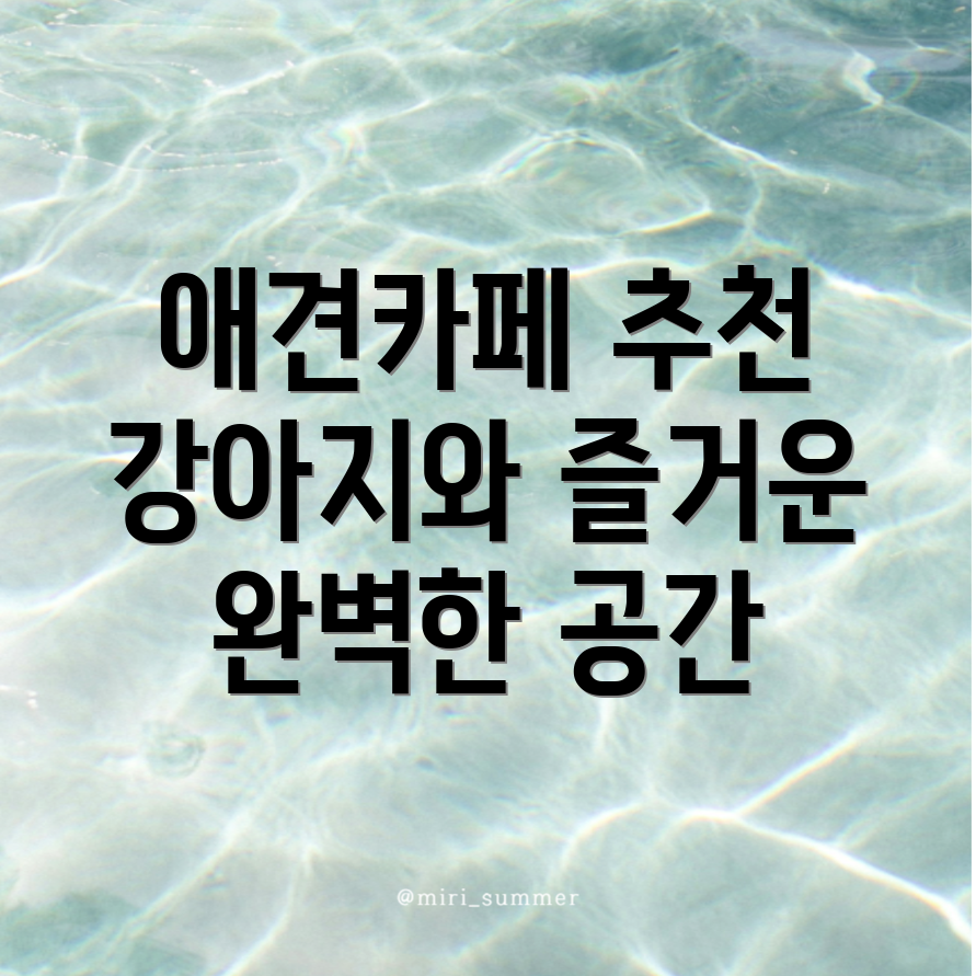 애견카페