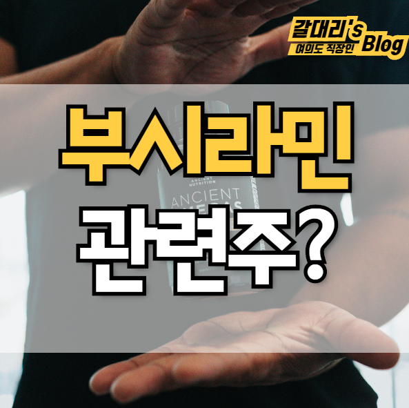  부시라민 관련주 TOP3 최종정리