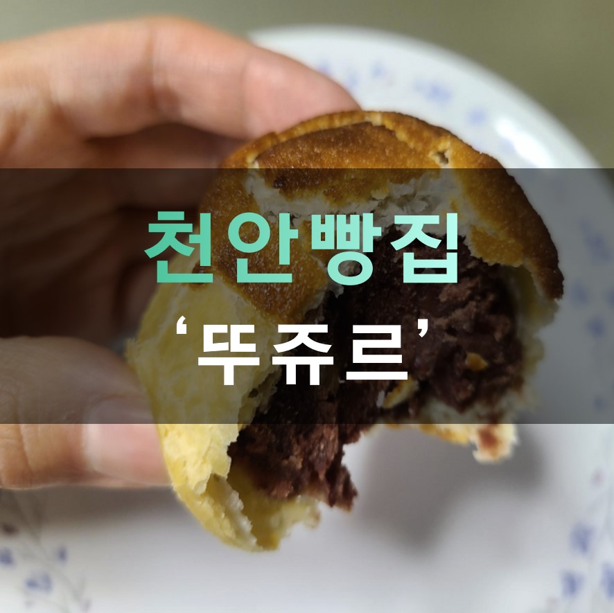  [천안 가볼만한 곳] 뚜쥬루 빵집 빵돌가마 팥이 가득 들어있는 돌가마만주 선물